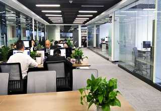 双流区市场数据可行性报告