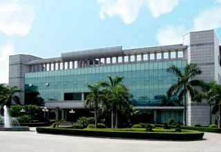 浙江环保夜光粉哪里有