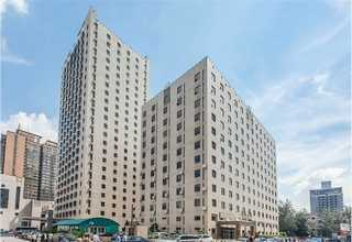 安徽原木整木报价